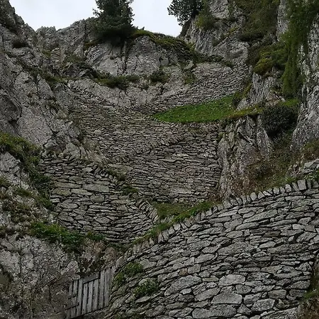 Valaisia * Riederalp