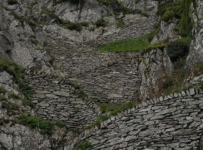 Valaisia * Riederalp